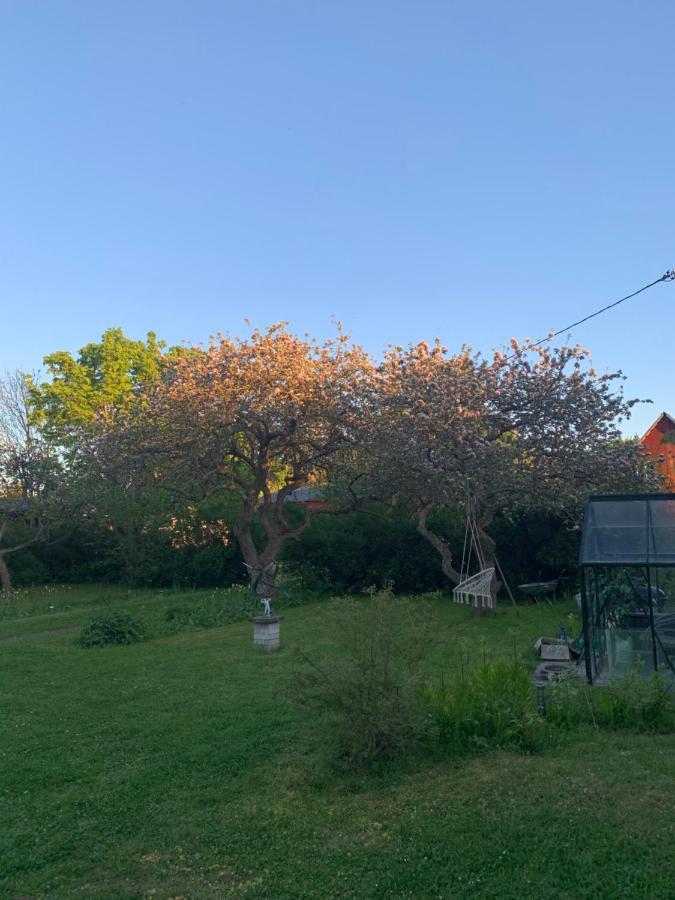 Martebo Bed & Breakfast Tingstäde Zewnętrze zdjęcie